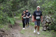 Q2878600