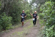 W2877558