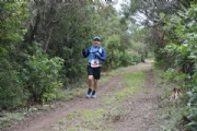 W2877934