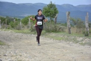 T2885378
