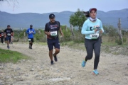 W2885446