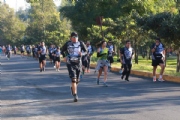 P2919600