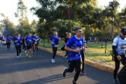H2925283