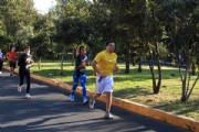 T2924218