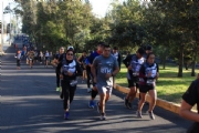 T2925148