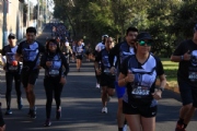 V2920433