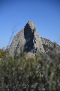 T2901556