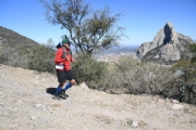 T2901599