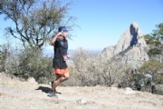 U2901650