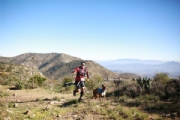 N2901966