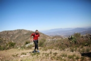 V2902578