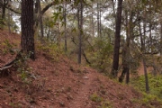 H2928233