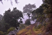 L2934382