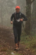 W2936497