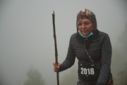 W2939154