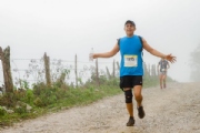 C2966733