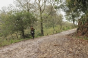 N2965536