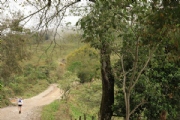 N2966663