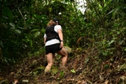 Q2958111