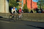 J2940219