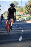 W2951819