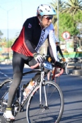 W2952788
