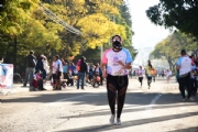 W2946443