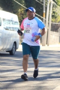 W2954294