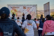 A2955315