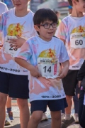 T2955629