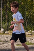 W2955156