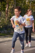 W2955214