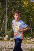 W2955234