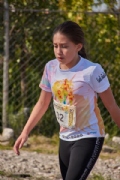 W2955240