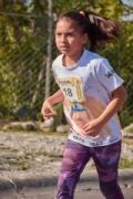 W2955266