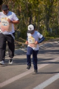 W2955423