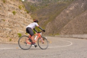 G2983031
