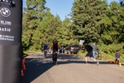 F2990524