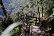 F2995120