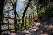 G2995549