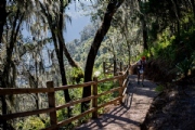 H2995611