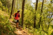 Q3005609