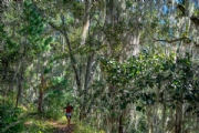 B2996489