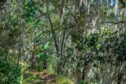 C2996288