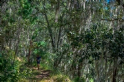 C2996954