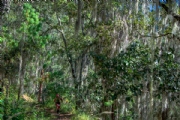 G2996654