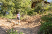 K3006555
