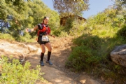 T3006238
