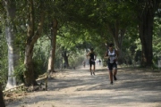 Q3008403