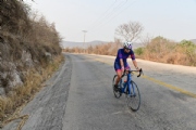 K3019994